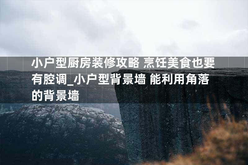 小户型厨房装修攻略 烹饪美食也要有腔调_小户型背景墙 能利用角落的背景墙